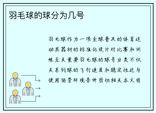 羽毛球的球分为几号